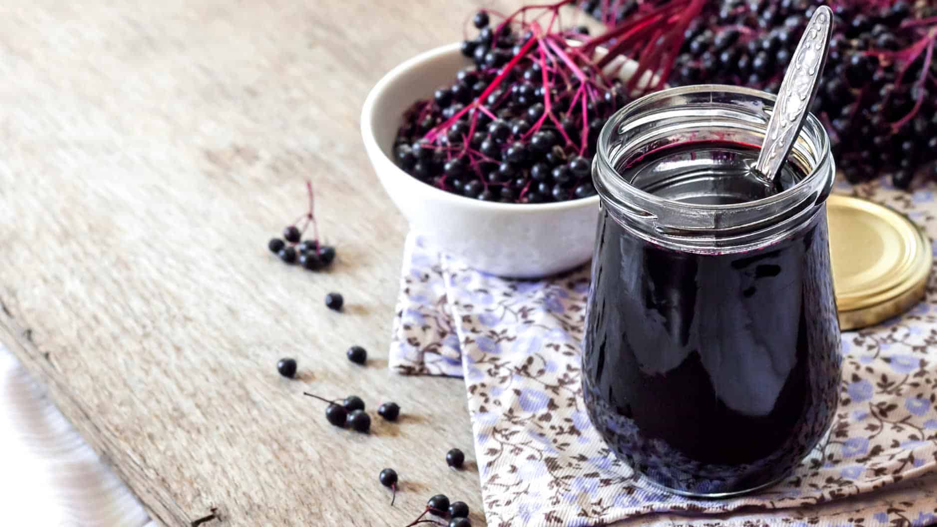 Fresh elderberries on the vine