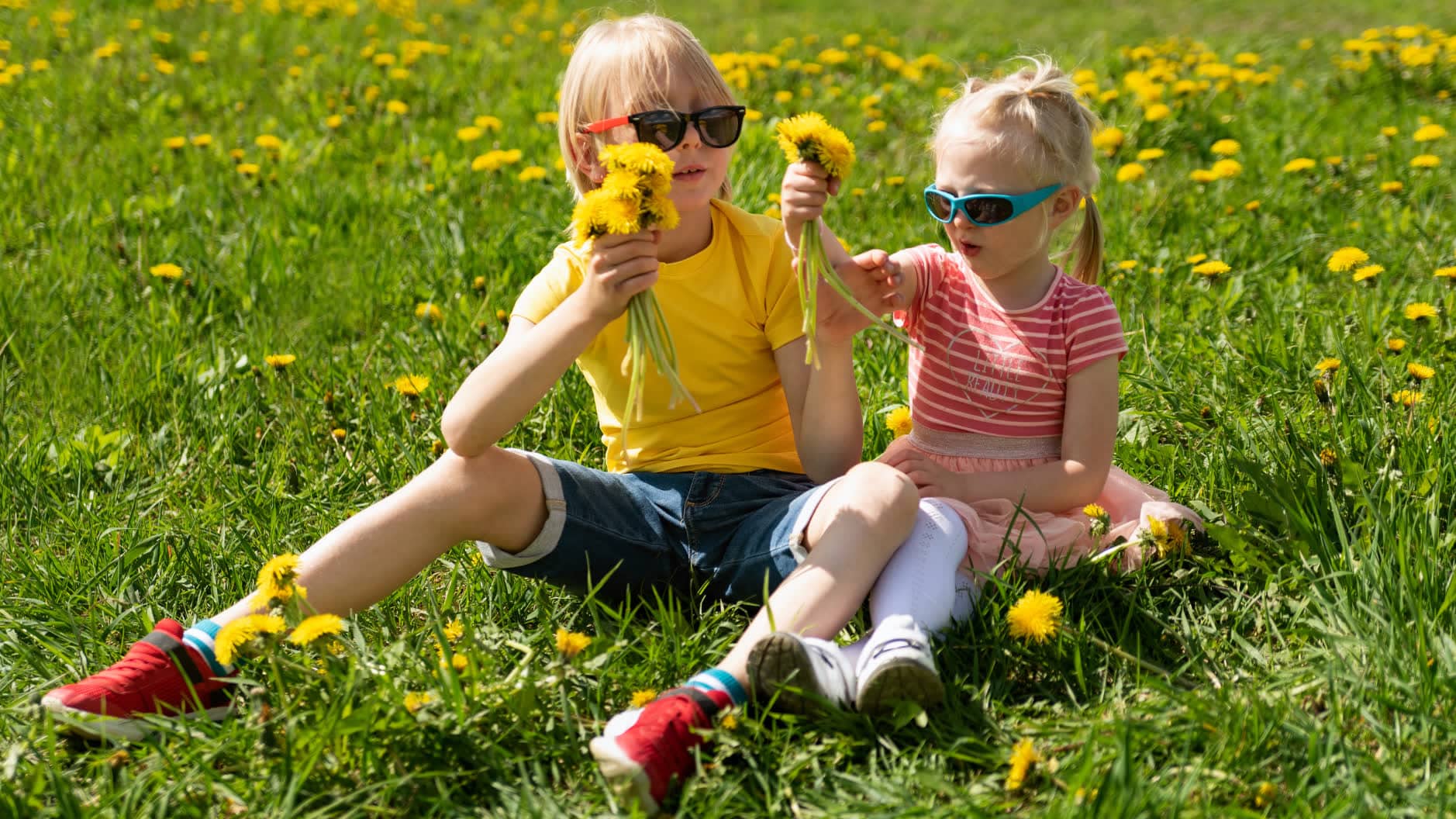 Children playing in a field of dandelions