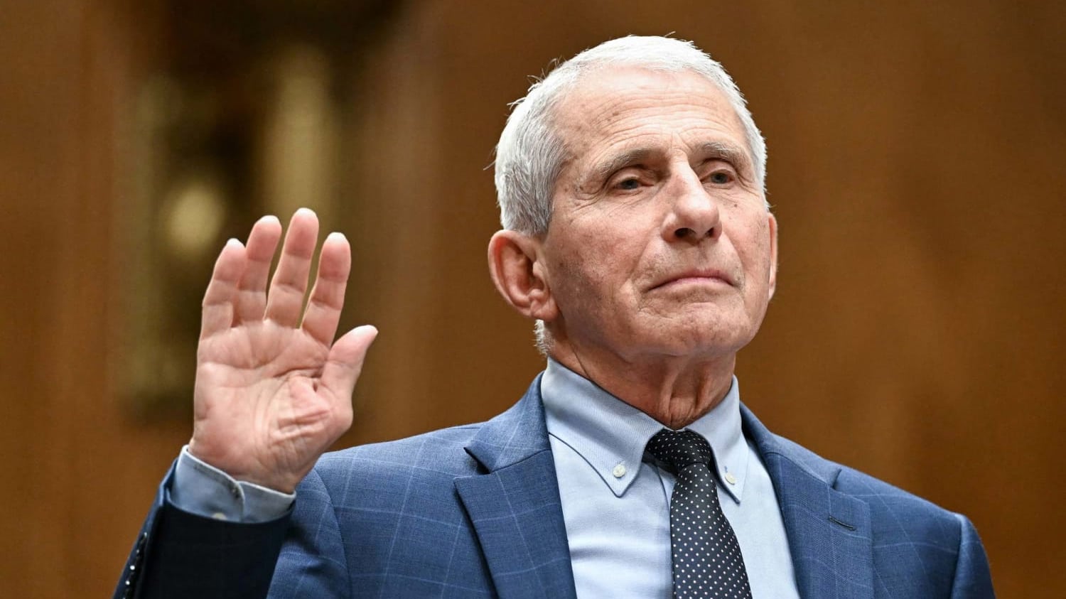 fauci invokes the fifth